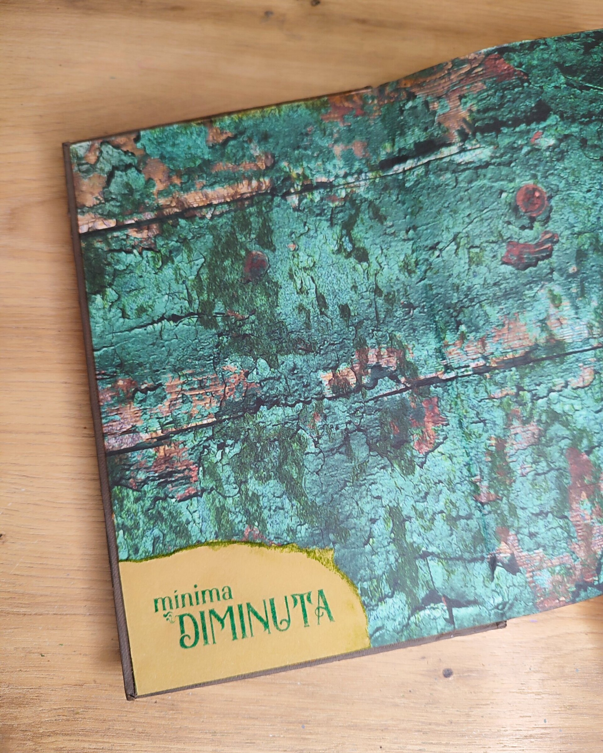 Libro intervenido “El Golem” – Gustav Meyrink | Cubierta artística mixed media - 4