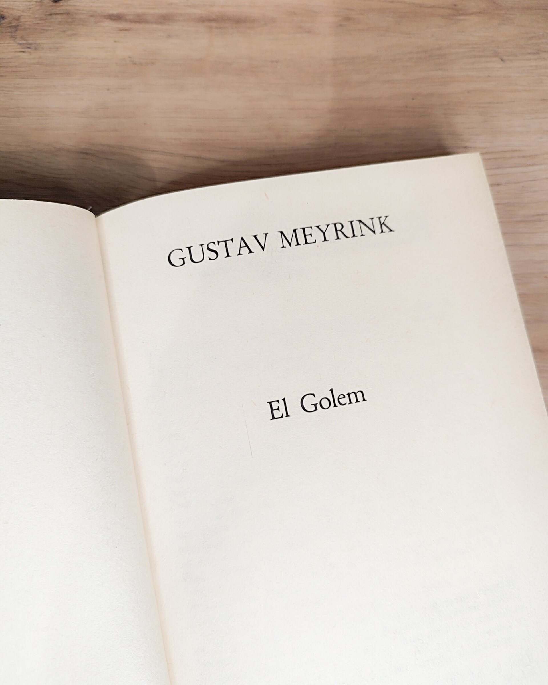 Libro intervenido “El Golem” – Gustav Meyrink | Cubierta artística mixed media - 3
